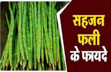 Drumstick tree will fight malnutrition in the country डब्ल्यूटीओ ने दिया सुपर पावर फूड का दर्जा,कुपोषण से लड़ेगी और तंदुरुस्त भी करेगी 'सहजन '