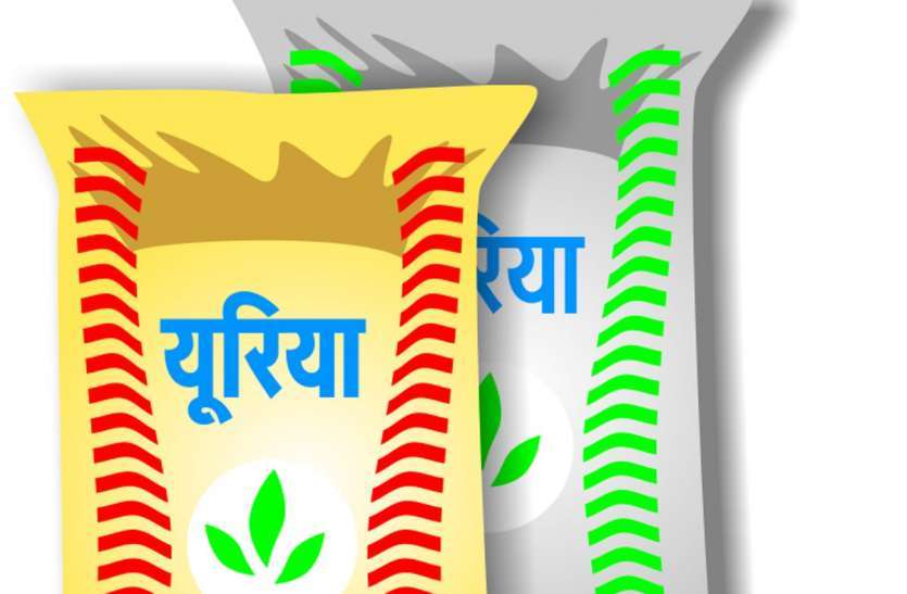 Urea being sold without POS machine यहां बिना पीओएस मशीन और महंगे दामों पर बिक रहा यूरिया, अधिकारी बेखबर