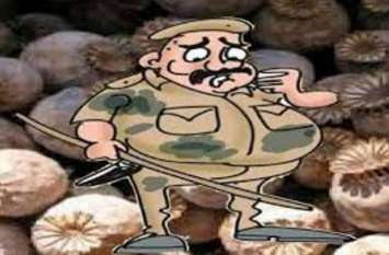 Smuggling trend changed by train, bus even on foot kota news तस्करों के लिए महँगी गाड़ियां बनी खतरे की घंटी,पैदल दौड में हो रहे माहिर,801 मामलो में से 52 के पास मिले वाहन
