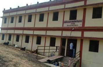 Maize and cattle being kept in crores of buildings करोड़ों के भवन में रख रहे मक्का और बांधे जा रहे मवेशी