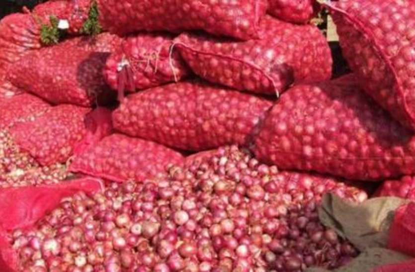 onion-price-farming-farmers-income-rabi-season-cultivation कीमतों में उछाल से इस खेती में बढ़ा किसानों का रुझान