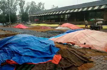 famers troubled after heavy rain in chandauli बोले चंदौली के किसान, समय से होती खरीद तो बारिश में न बर्बाद होती हमारी मेहनत