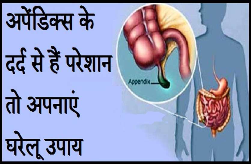 Ways To Prevent Appendix Learn Symptoms And Home Remedies Hindi A free online english hindi picture dictionary. ways to prevent appendix learn symptoms