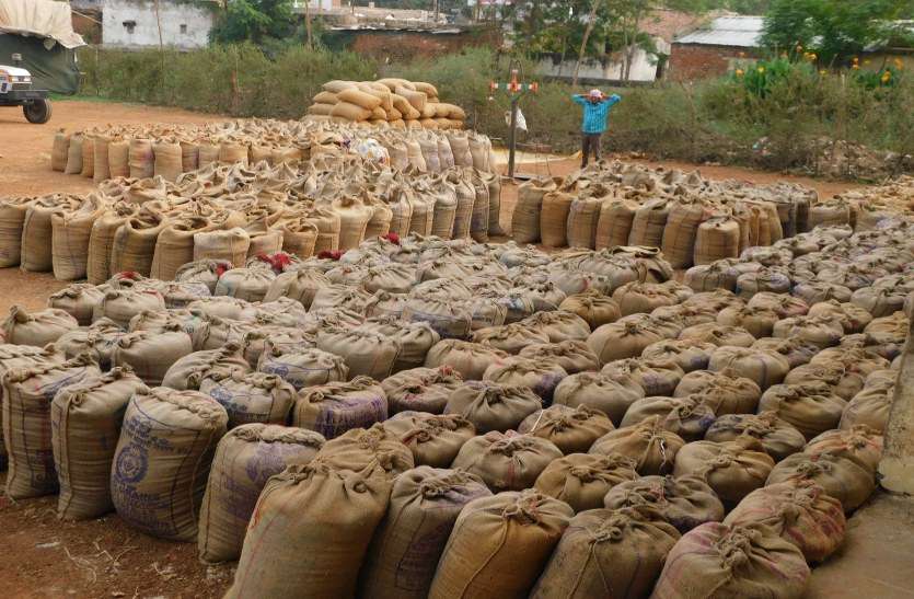 Committees of Congress will work to monitor paddy procurement धान खरीदी में निगरानी के लिए कांग्रेस की त्रिस्तरीय समितियां करेंगी काम