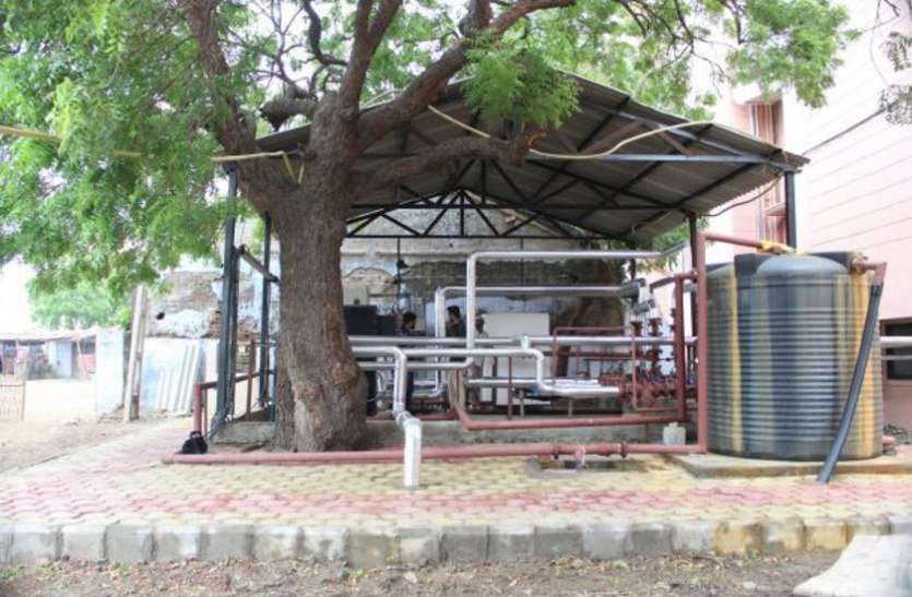 Ahmedabad News जमीन से निकलने वाले गर्म पानी से शहद प्रसंस्करण हुआ आसान Ahmedabad News जमीन से निकलने वाले गर्म पानी से शहद प्रसंस्करण हुआ आसान