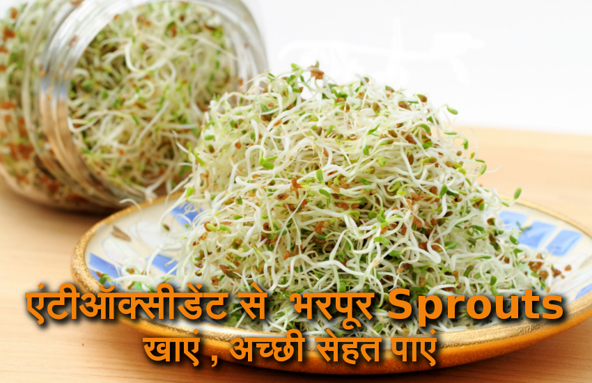 Sprouts Benefits: क्या सच में सेहत के लिए फायदेमंद है अंकुरित अनाज
