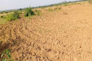 Forestland: File for revoked claims will reopen Forestland: निरस्त दावों की फिर से खुलेगी फाइल