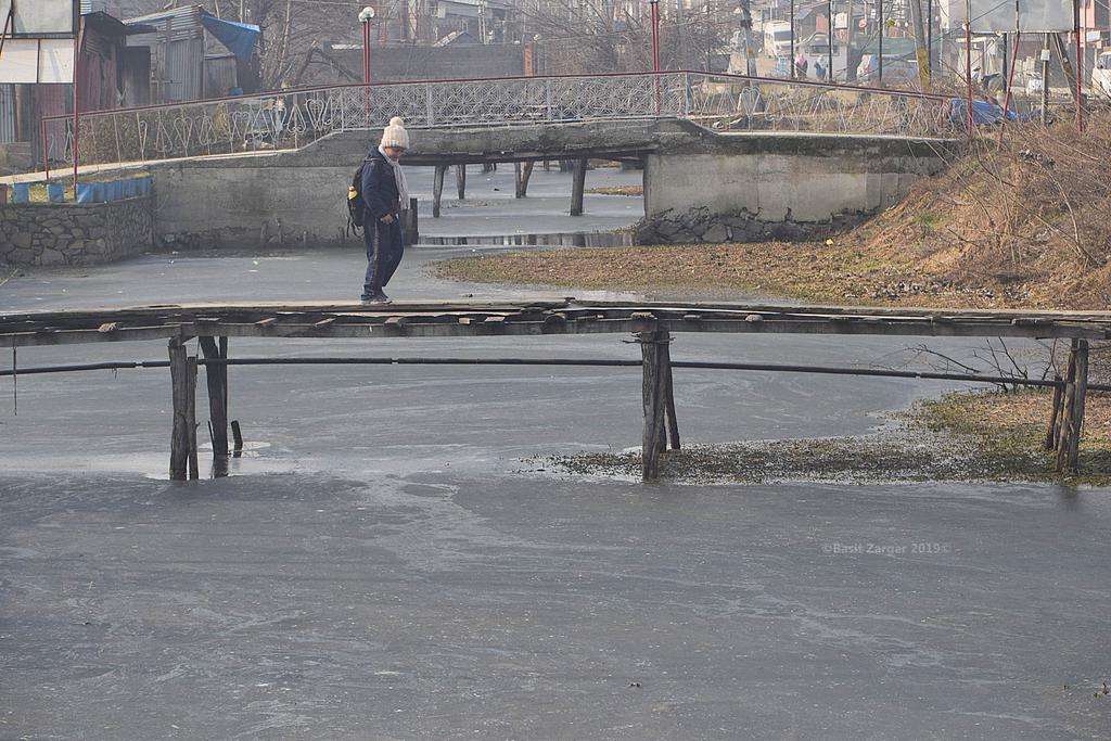 dal_lake.jpeg