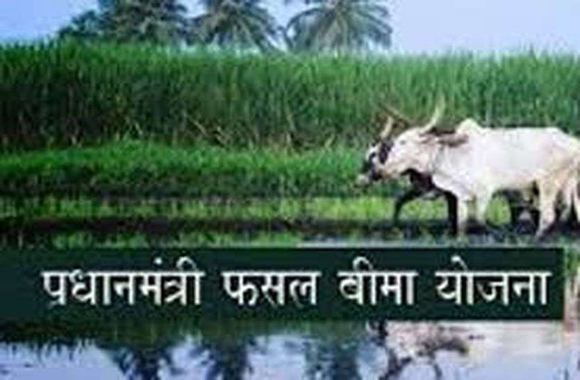 Prime Minister crop insurance scheme प्रधानमंत्री फसल बीमा से कम्पनियां मालामाल, करोड़ों का प्रीमियम देने के बाद भी किसान कंगाल