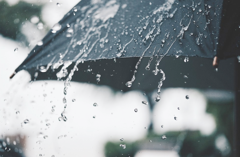 Weather Alert: नववर्ष का स्वागत करने को तैयार है बारिश, लोग सर्दी से बेहाल Weather Update: दिन में तेज धूप खिलने से लोगों को मिली ठंड से राहत, शनिवार को बारिश और ओलों की चेतावनी