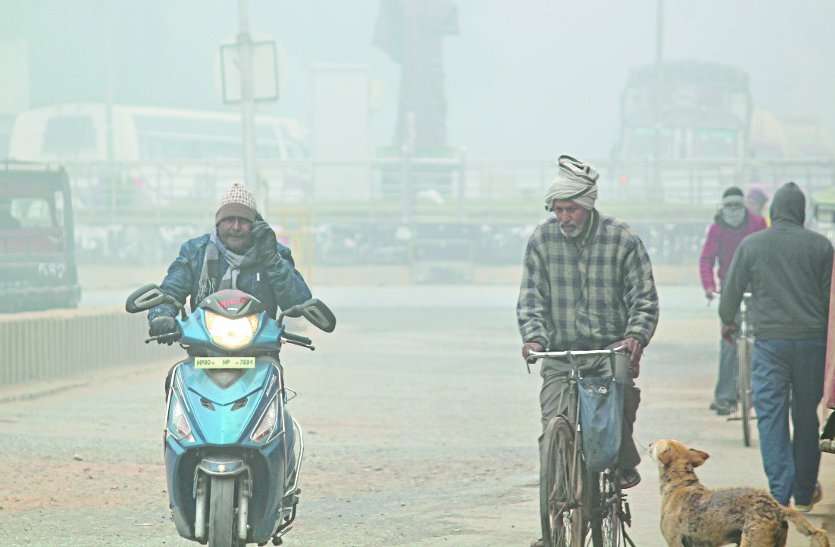 Weather alert heavy rains in bhind सर्दी से एक युवक और दो दर्जन पशुओं की मौत, स्कूलों में अवकाश बढ़ा