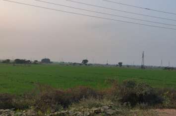 Ownership of land will be found in Lal Dora border लाल डोरा सीमा में मिलेंगे जमीनों के मालिकाना हक
