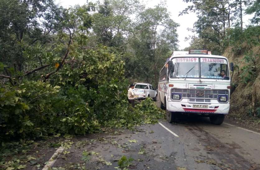 पेड़ हुए धराशाही आवागमन हुआ प्रभावित पढ़े, कैसे ओलावृष्टि, बारिश और आंधी-तूफान ने मचाया कहर