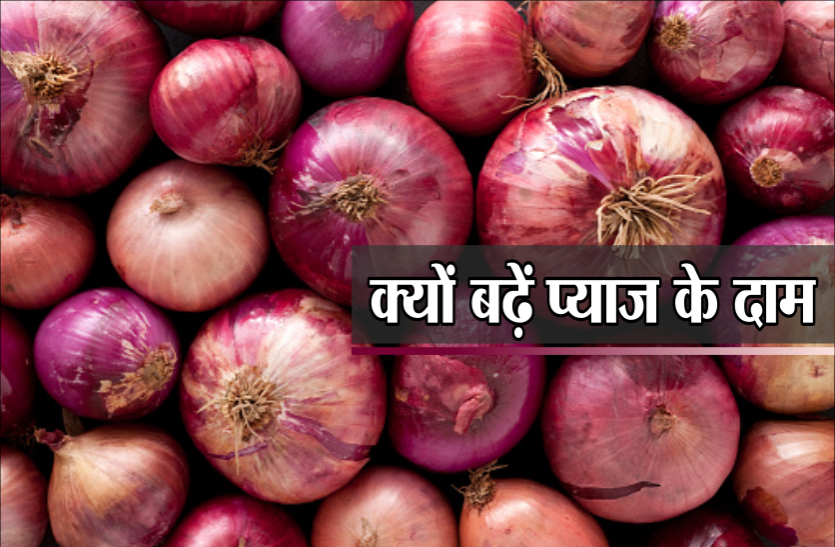 onion news प्याज के 100 रुपए किलो बिकने ये है बड़ा कारण