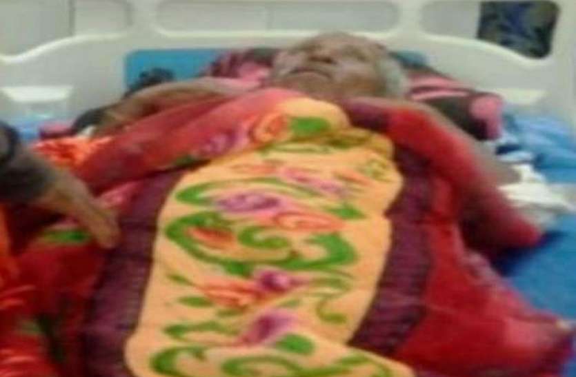 जंगली हाथी के हमले से किसान घायल जंगली हाथी के हमले से किसान घायल