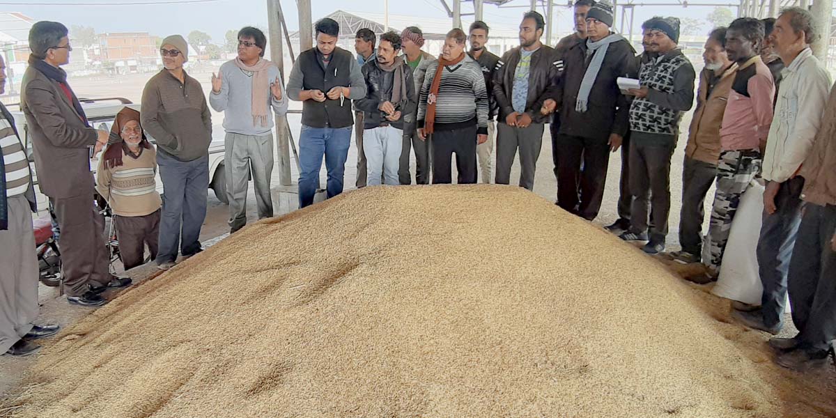 Non-FAQ paddy started being procured in agricultural produce markets