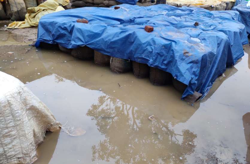 More than 10,000 quintals of paddy kept in the open, soaked in rain, d खुली में रखी 10 हजार क्विंटल से ज्यादा धान बारिश में भीगी, परिवहन में देरी