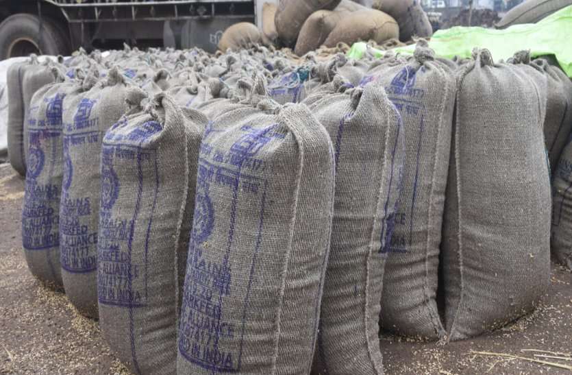 Paddy procurement stopped in Societies due to rain, only 6400 quintals could be purchased in 13 centers ... बारिश के कारण सोसाइटियों में धान खरीदी बंद, 13 केंद्रों में 6400 क्विंटल की ही हो पाई खरीदी ...