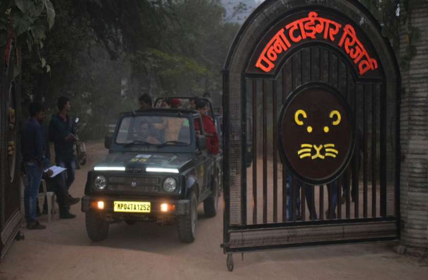 पन्ना टाइगर रिजर्व एनटीसीए ने लौटाई पन्ना टाइगर रिजर्व के पयर्टक वाहनों की संख्या बढ़ाने संबंधी मांग