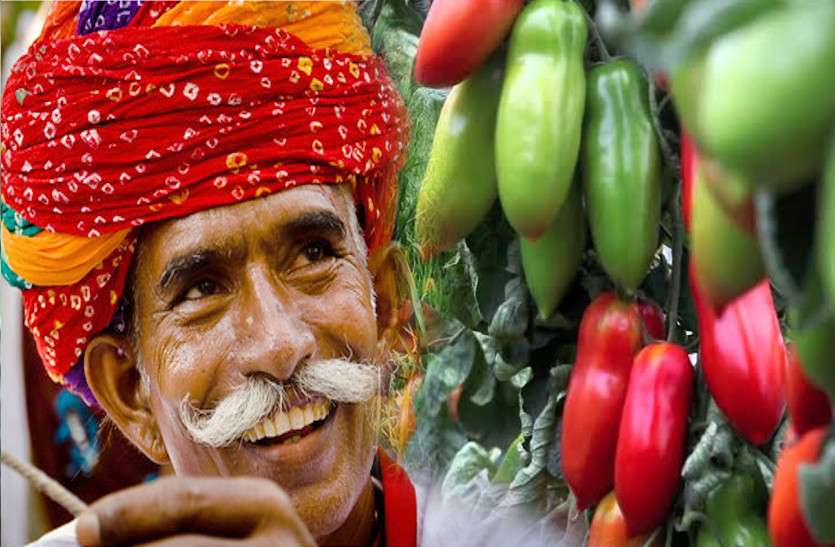 adharsh_village.jpg ये गांव बनेगा राजस्थान का पहला जैविक गांव, झोपडिय़ोंकी छत पर दिखेंगी कई तरह की सब्जियां, देश में बनेगा मिसाल