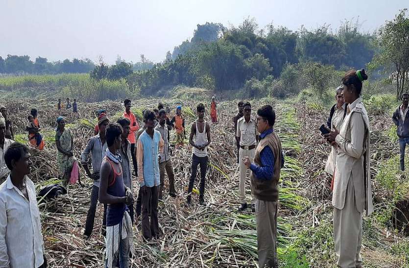 आदमखोर तेंदुए ने मांडवी में चार साल की बच्ची की ली जान आदमखोर तेंदुए ने मांडवी में चार साल की बच्ची की ली जान
