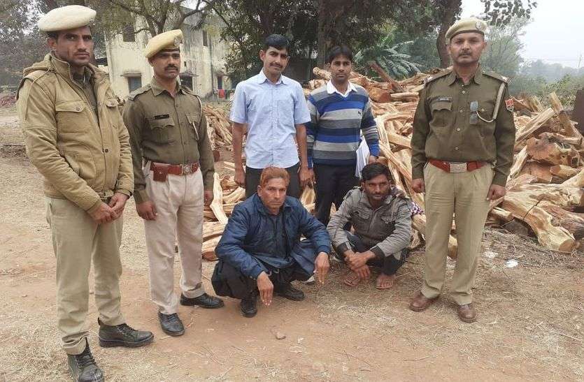 बीस लाख की चंदन व खैर की गीली लकडिय़ां जब्त, पिता-पुत्र गिरफ्तार बीस लाख की चंदन व खैर की गीली लकडिय़ां जब्त, पिता-पुत्र गिरफ्तार
