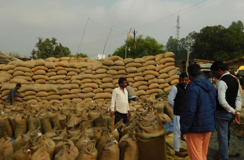 90 percent of farmers' income is sold as gram 90 फीसदी किसानों की आय का साधन चना बिक रहा माटी मोल