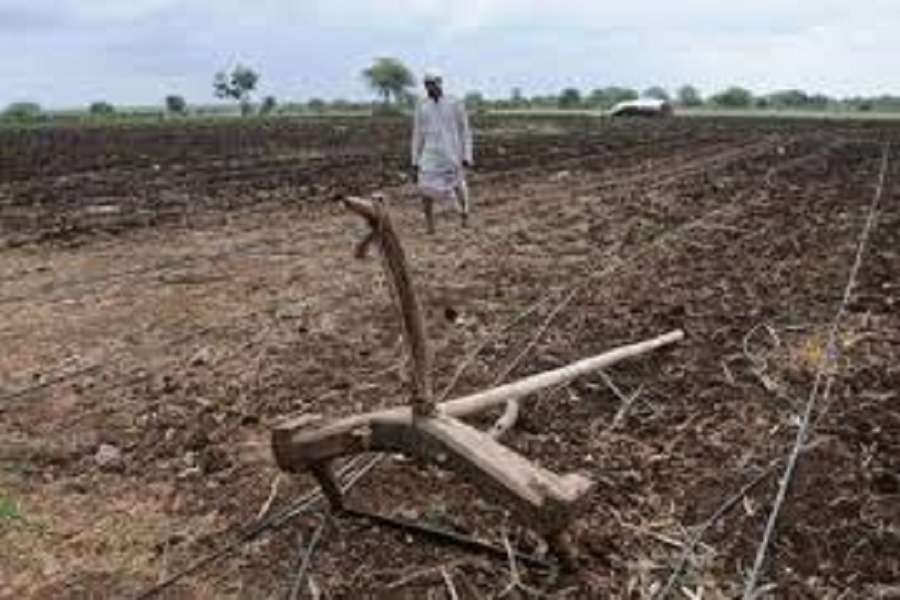 महाराष्ट्र में 300 किसानों ने किया सुसाइड, इसके पीछे का कारण जानिए यहां...