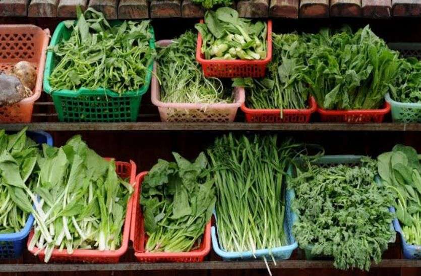 Winter Leafy Veggies Recipes Are Rich In Nutrients. - ऊर्जा के प्राकृतिक स्त्रोत हैं सर्दी के साग | Patrika News