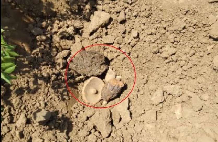 Old Idol Found खुदाई के दौरान किसान के हाथ लगी सदियों पुरानी मूर्ति, करोड़ों में है कीमत