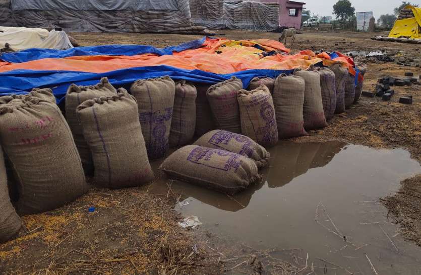 बेमौसम बारिश से भीगा करोड़ों का धान, अधिकांश केन्द्रों में खरीदी बंद बेमौसम बारिश से भीगा करोड़ों का धान, अधिकांश केन्द्रों में खरीदी बंद