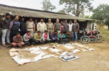 7 smugglers arrested with four leopard skins in Dantewada चार तेंदुए की खाल तस्कर कर रहे 7 आरोपियों को वन विभाग ने दबोचा, देखें फोटो