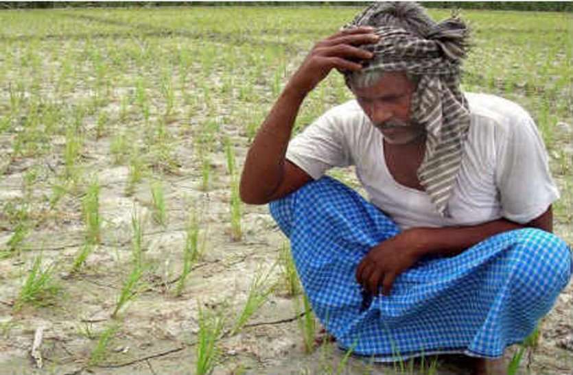 The Partition Of Agriculture Made 40 Lakh Farmers Of Laborers