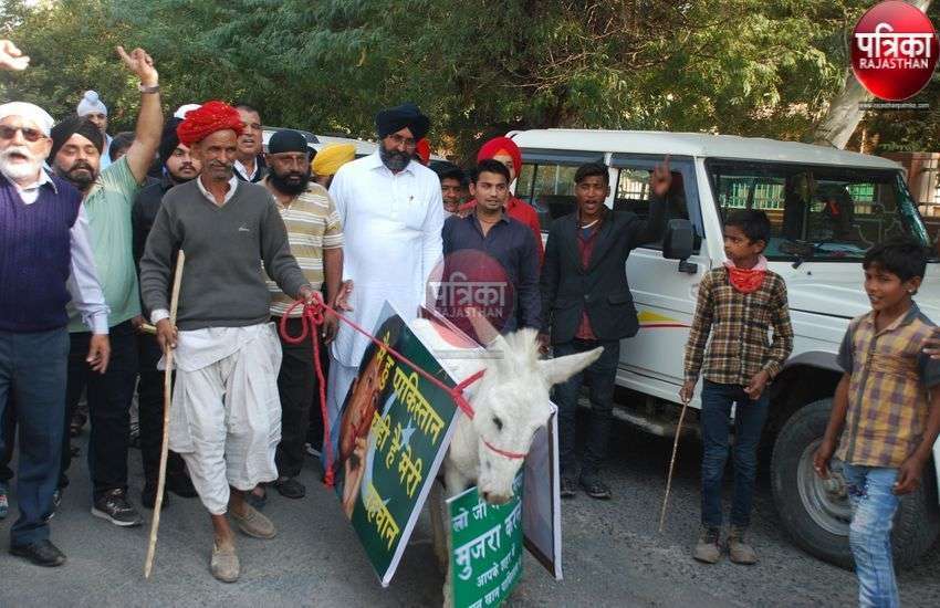 कलक्टरी के सामने भडक़ा गर्दभ मची अफरा-तफरी कलक्टरी के सामने भडक़ा गर्दभ मची अफरा-तफरी