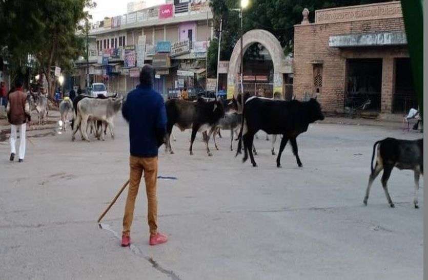 पालिका की ओर से अतिक्रमण हटाओ अभियान के तहत शहर के विभिन्न स्थानों पर अवैध केबिन व हाथ लोरी लगाकर किए अतिक्रमण को हटाया। पालिका प्रशासन ने दर्जनभर केबिन को जब्त किया। अवैध केबिन पर चला पालिका का डंडा, आवारा पशुओं को गोशाला के सुपुर्द किया