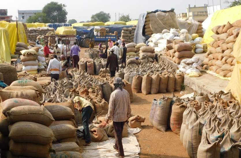 Paddy procurement will start again after three days from today, 180 vehicles have been installed for transportation, there will be a rise in lift ... तीन दिन बाद आज से फिर होगी धान की खरीदी शुरु, परिवहन के लिए 180 वाहन लगाए गए, उठाव में आएगी तेजी ...