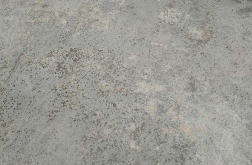 meerut Weather Alert: सर्द हवाएं चलने के बाद शुरू हुई बूंदाबांदी, बढ़ सकती हैं स्कूलों की छुट्टियां
