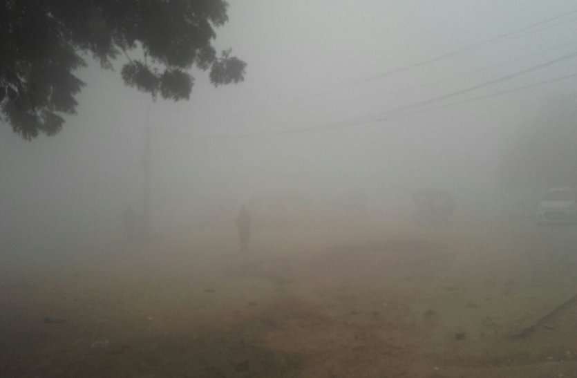 Weather alert 2020 : Weather alert 2020 in morena चंबल में कोहरे ने फिर पकड़ी तेजी, वैज्ञानिकों ने बोली यह बात