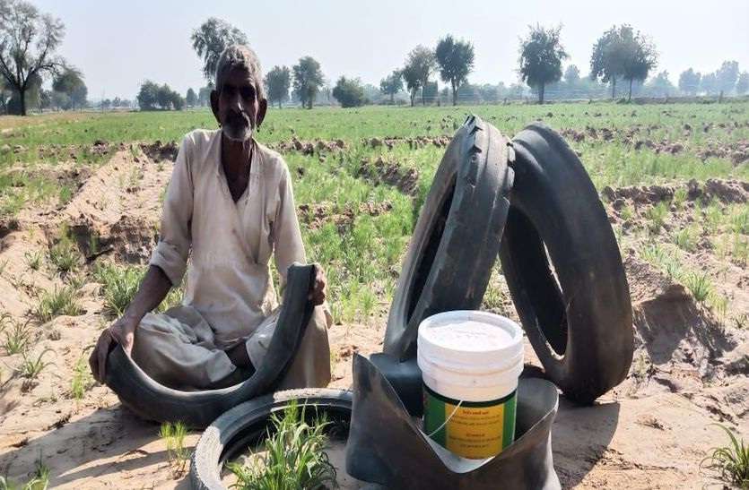 टिड्डी के आगमन की सूचना से अलर्ट दिखे किसान टिड्डी के आगमन की सूचना से अलर्ट दिखे किसान