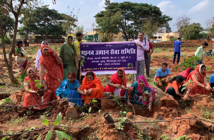 मानव सेवा समिति ने लगाए1100 पौधे मानव सेवा समिति ने लगाए1100 पौधे