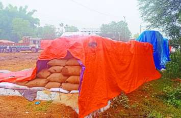 Paddy procurement started in centers after the season opens मौसम खुलने के बाद केंद्रों में धान खरीदी शुरू, फिर भी किसानों की परेशानी नहीं हो रही कम