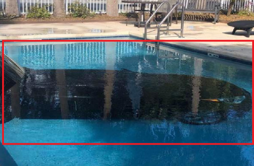 Car rammed into hotel swimming pool driver absconded OMG! होटल के स्विमिंग पूल में घुसाई कार, ड्राइवर हुआ फरार