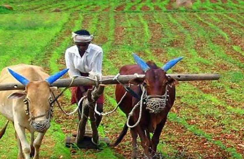 PM Kisan Samman Nidhi Yojana List 2020 दस दिन में मिलना मुआवजा साल बीतने के बाद भी नहीं मिला