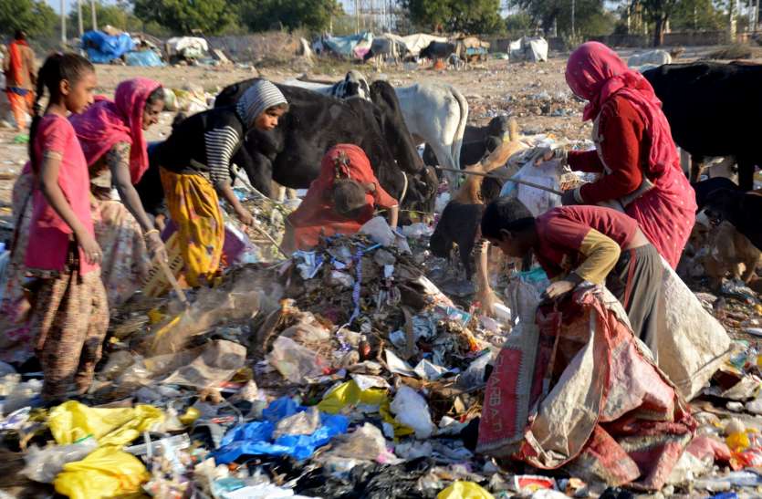 garbage in Nagaur नागौर में नहीं ‘वेस्ट’ का ‘बेस्ट’ मैनेजमेंट