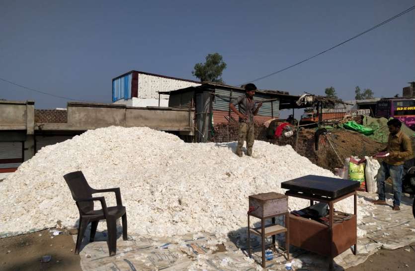 रायपुरिया के हाट-बाजार में दो महीने के बाद आया कपास रायपुरिया के हाट-बाजार में दो महीने के बाद आया कपास