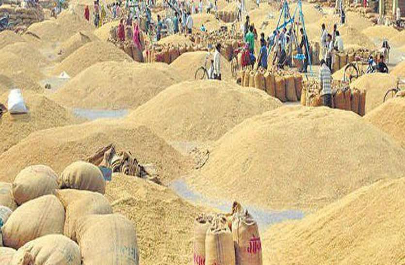 Paddy transport delay, stored in an unsafe manner under the open sky डेढ़ माह बाद भी धान का परिवहन बेपटरी, 43 केंद्रों में ओवर स्टॉक, खुले में भंडारित 8.18 क्विटंल धान