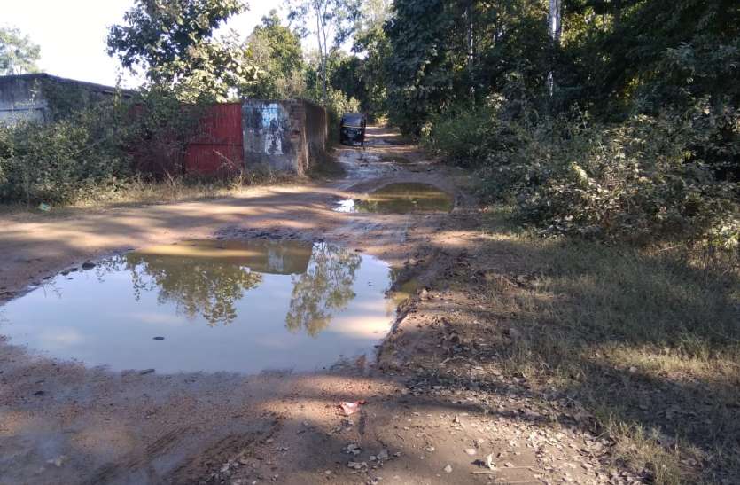 Did not take care, devotees will reach Sangam by bad road नहीं ली सुध, बदहाल सड़क से संगम तक पहुंचेंगे श्रद्धालु