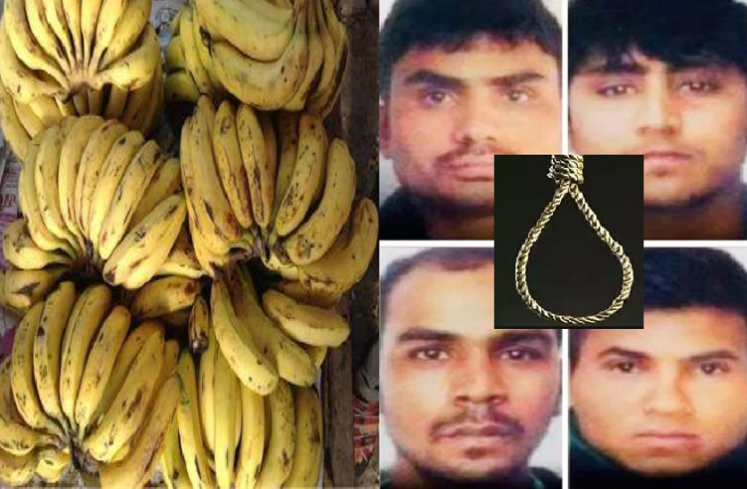 Banana and butter are being used to keep the hanging noose soft निर्भया के दोषियों के लिए तैयार है ‘फांसी का फंदा’, जानिए क्यों हो रहा है ‘केले’ और ‘मक्खन’ का इस्तेमाल