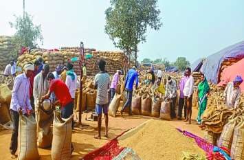 Paddy purchase stopped in cooperative society, farmers upset सहकारी समिति में दो जनवरी से खरीदी बंद, धान का उठाव नहीं होने से जाम की स्थिति