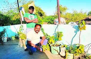 40 home based rare species of medicinal plants घर की छत पर बनाया गार्डन और उगा दिए 40 प्रकार के दुर्लभ प्रजाति के औषधीय पौधे